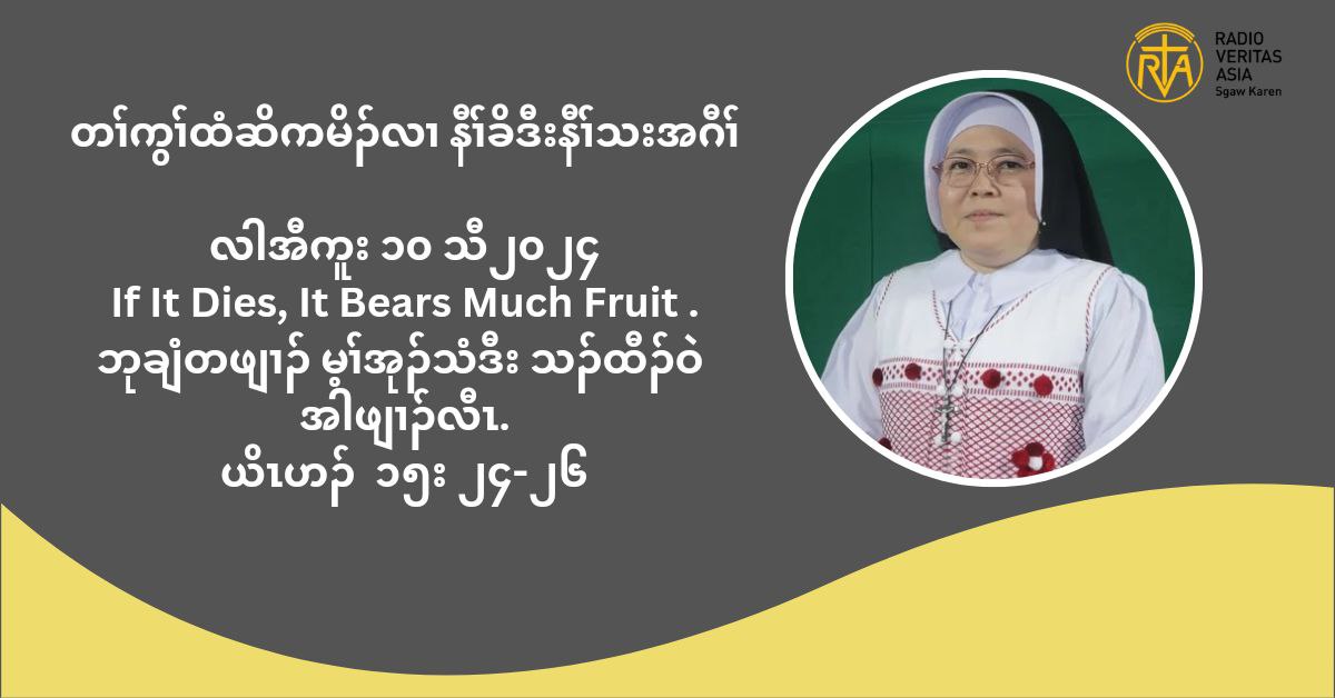 တႈကြႈထံဆိကမိဥ နီႈခိဒီးနီႈသးအဂီႈ လါအီကူး ၁၀ သီ ၂၀၂၄