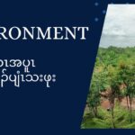 Environment Program 30.12.24