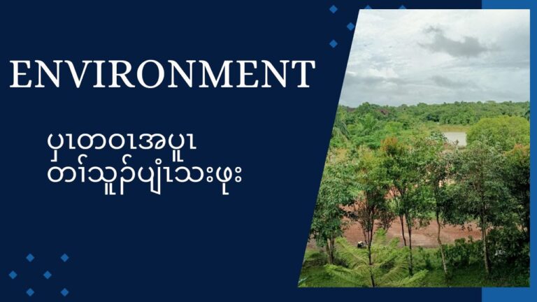 Environment Program 30.12.24