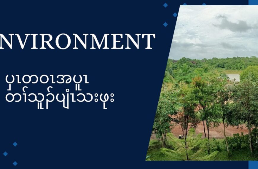 Environment Program 30.12.24