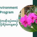 Environment Program 6.1.2025