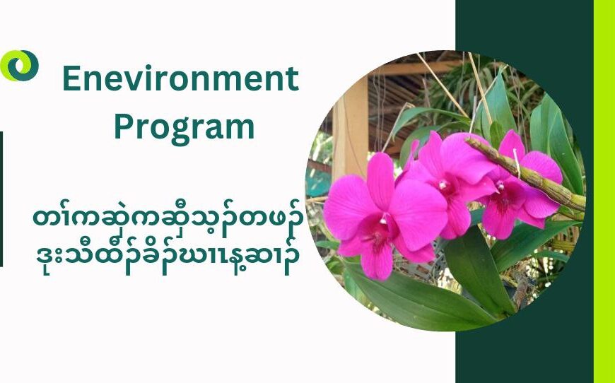 Environment Program 6.1.2025