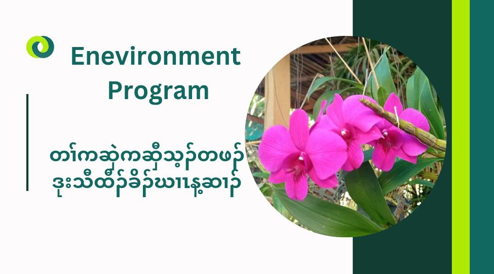 Environment Program 6.1.2025