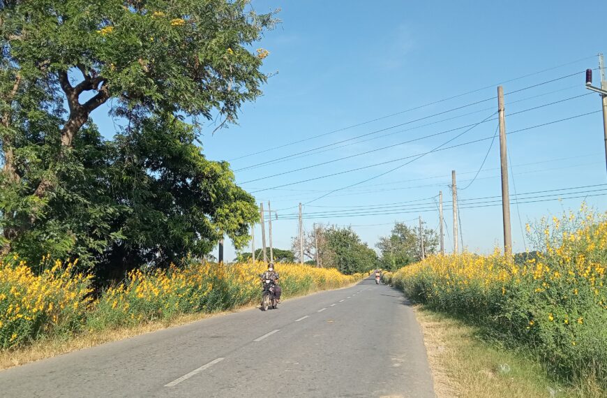 တႈကြႈထြဲတႈအခိဥအဃ႕ၚအတႈရဲဥလီၚက်ဲၚလီၚ ဖဲ စဲးတ့ဘ႕ႈ ၁၇ သီ ၂၀၁၈ Monday, September 17, 2018